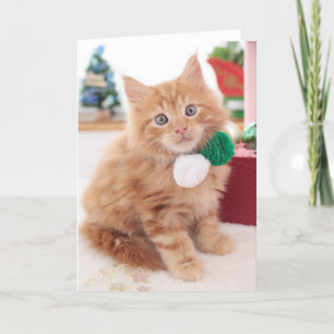 Kattunge Helgkort