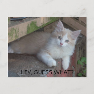 Kattunge-HEY, GUESS VAD? JAG MISSAR DIG Vykort