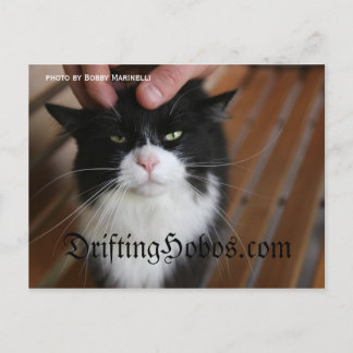 Kattunge Hobo Vykort