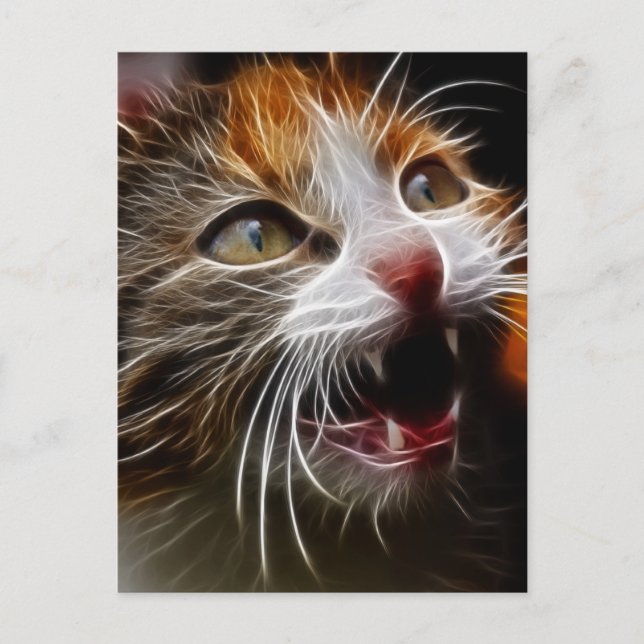 Kattunge Hungrigare Vykort (Framsida)