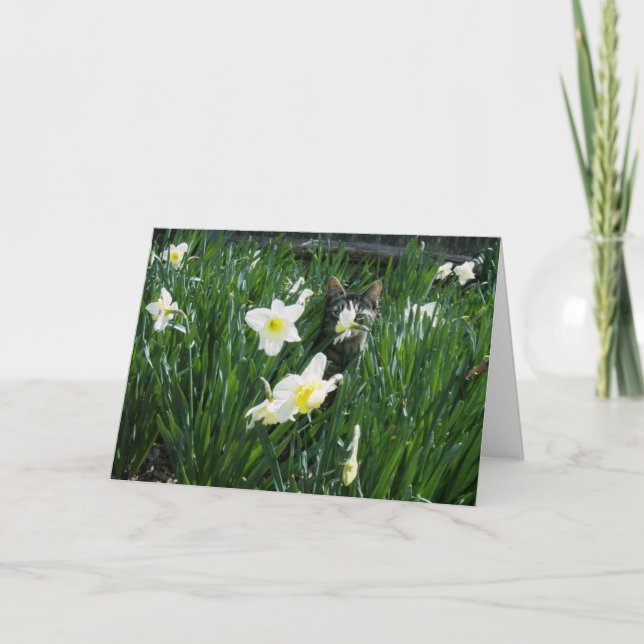 KATTUNGE I BLOMMOR HELGKORT (Framsida)