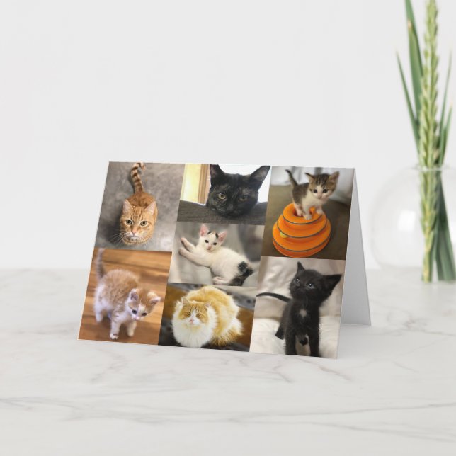 Kattunge i de två länderna kort (Framsida)