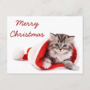 Kattunge i den Santa hatten Helg Vykort