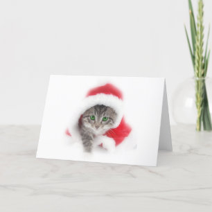 Kattunge i den Santa hatten Helgkort