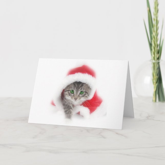 Kattunge i den Santa hatten Helgkort (Framsida)