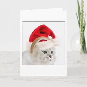Kattunge i den Santa hatten och gå i ax muffs Helgkort