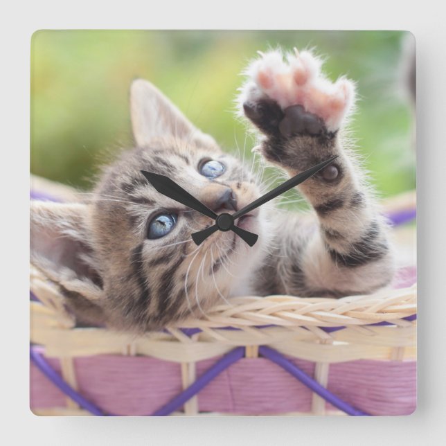 Kattunge i en basket fyrkantig klocka (Framsida)