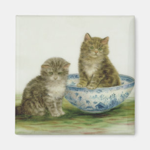 Kattunge i en blåttchinabunke magnet