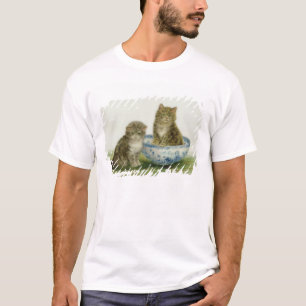 Kattunge i en blåttchinabunke tee shirt