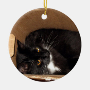 Kattunge i en boxas - fotografera julgransprydnad keramik