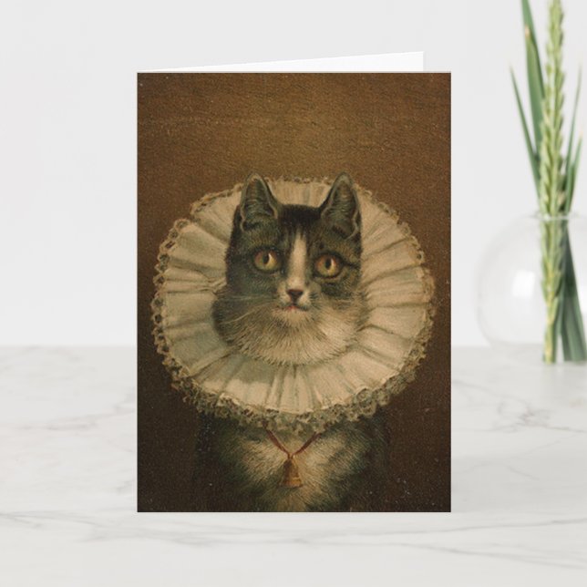 Kattunge i en Elizabethan ruff Kort (Framsida)