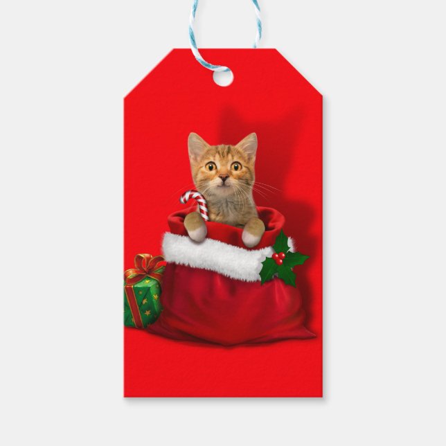 Kattunge i en julklapp presentetikett (Framsidan)