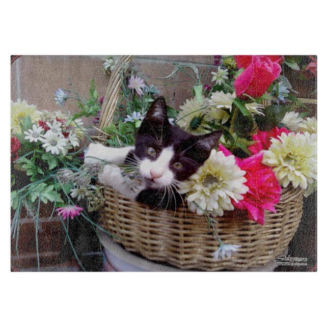 Kattunge i en korg (Framsidan)