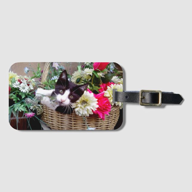 Kattunge i en korg bagagebricka (Framsida horisontal)
