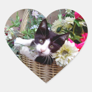 Kattunge i en korg hjärtformat klistermärke