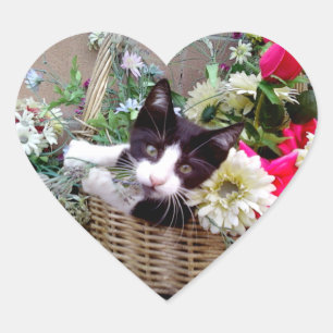 Kattunge i en korg hjärtformat klistermärke