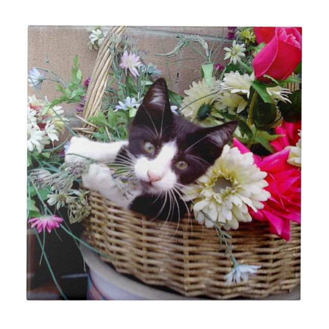 Kattunge i en korg kakelplatta (Framsidan)