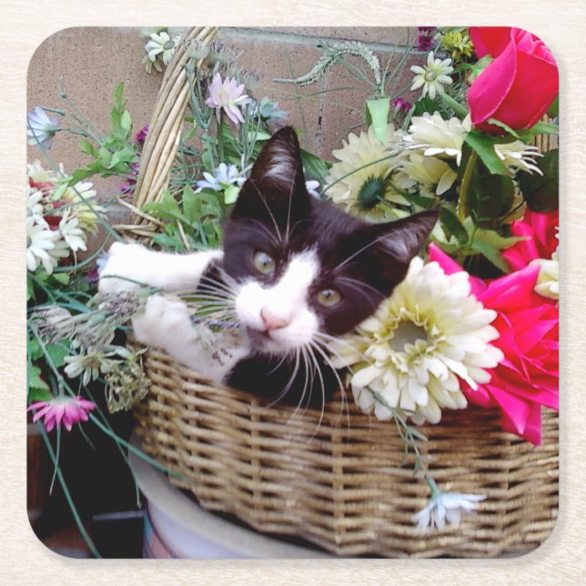 Kattunge i en korg underlägg papper kvadrat (Framsidan)