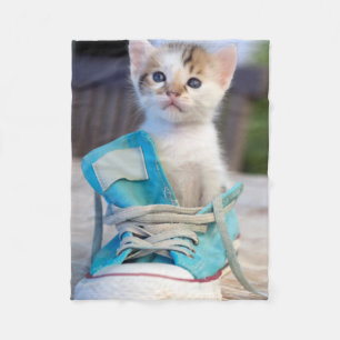 Kattunge i en sko fleecefilt
