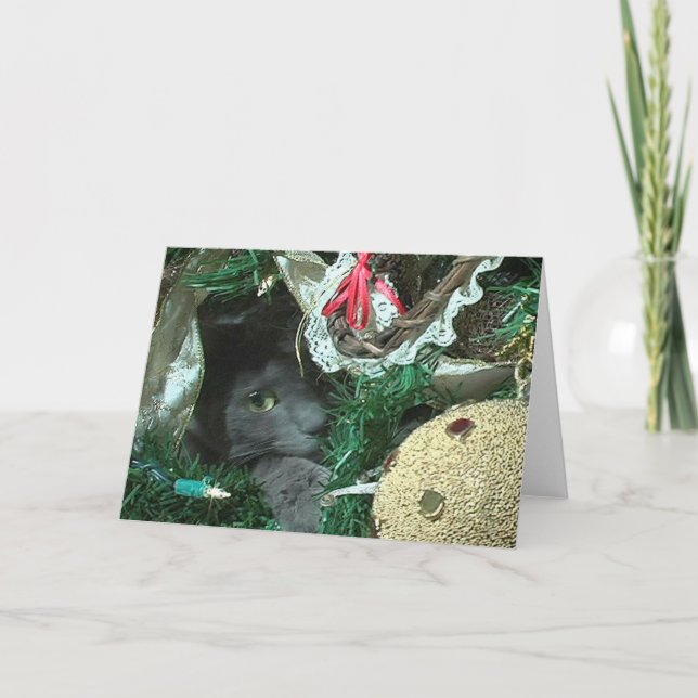 Kattunge i ett Julgran-hälsningskort Helgkort (Framsida)