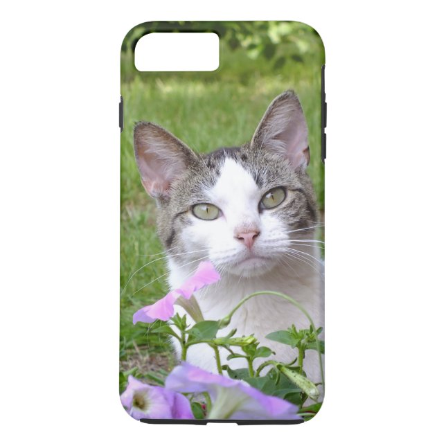 Kattunge i Flowers iPhone 7 Plus Fodral Case-Mate iPhone Skal (Baksida)