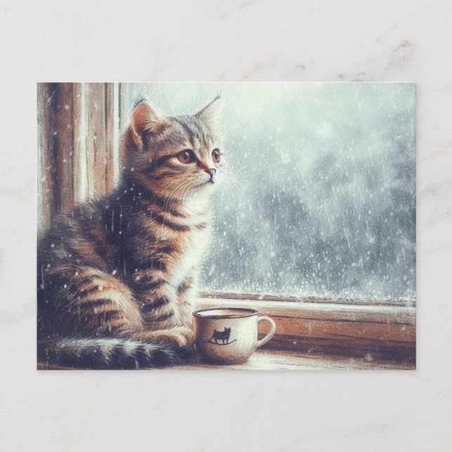 Kattunge i fönstret vykort (Framsida)