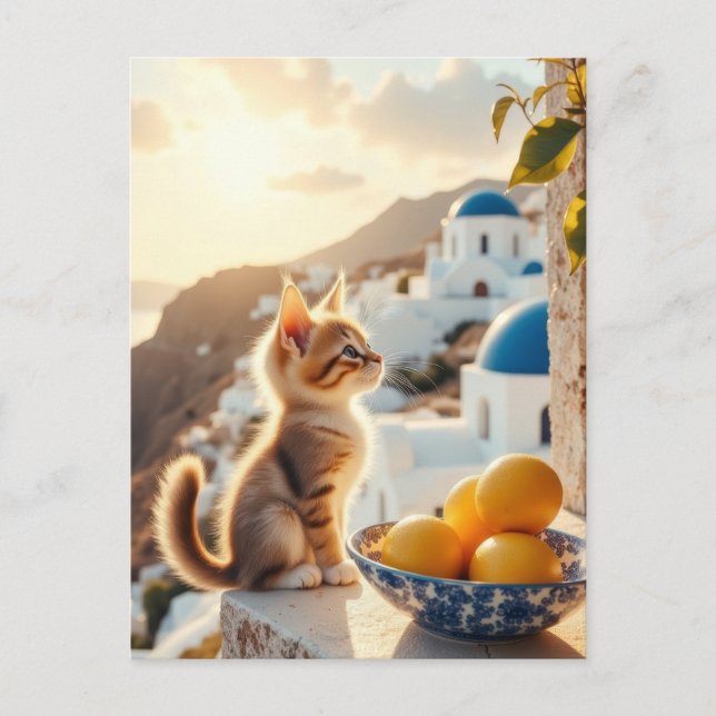 kattunge i Italien Vykort (Framsida)