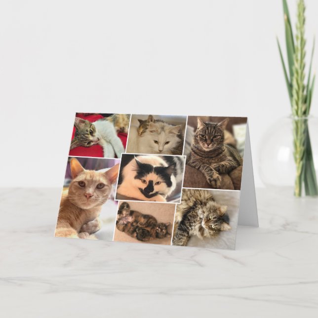 Kattunge i Johnston County Kort (Framsida)