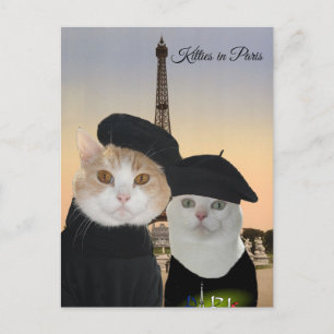 Kattunge i Paris Vykort