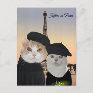 Kattunge i Paris Vykort