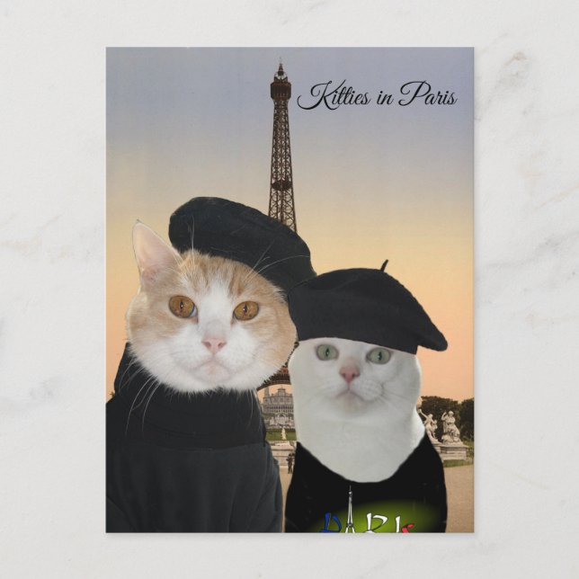 Kattunge i Paris Vykort (Framsida)