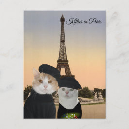 Kattunge i Paris Vykort