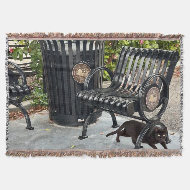 Kattunge i parken filt (Framsidan)