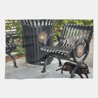 Kattunge i parken kökshandduk