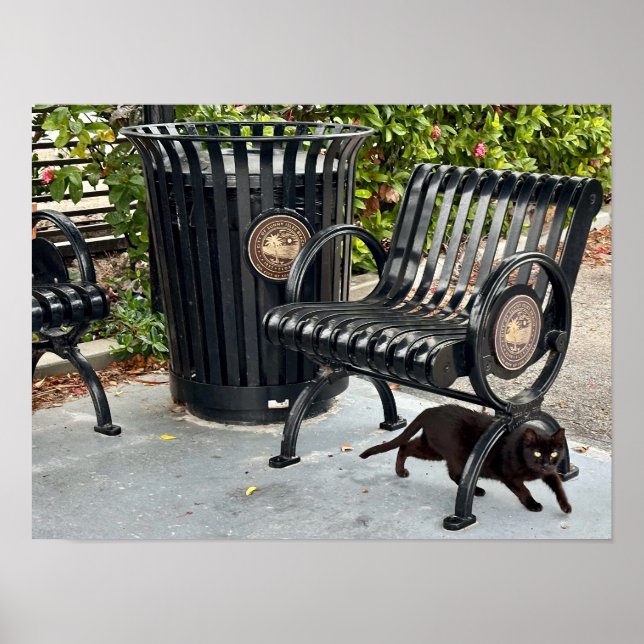 Kattunge i parken poster (Framsidan)