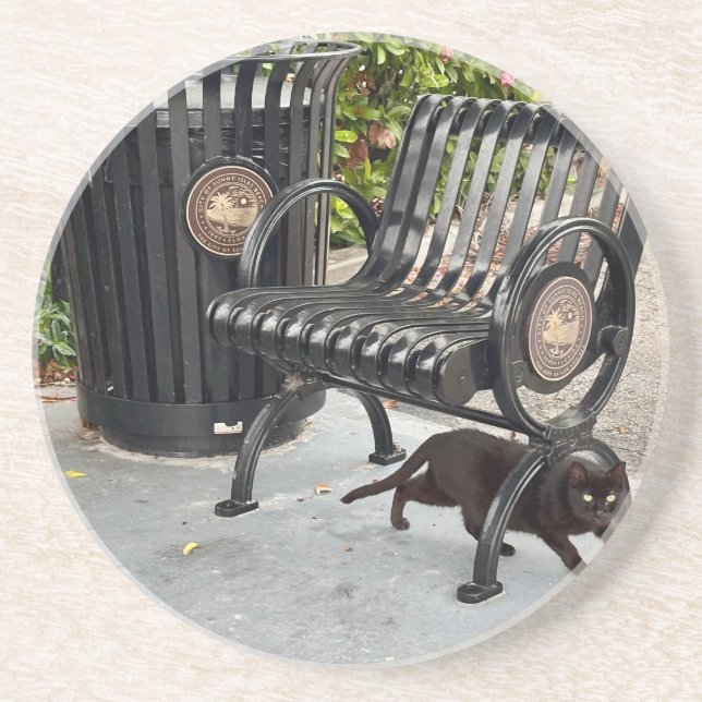 Kattunge i parken underlägg (Framsidan)