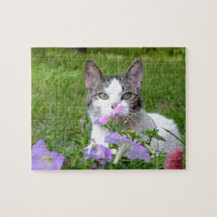 Kattunge i Petunias Puzzle Pussel