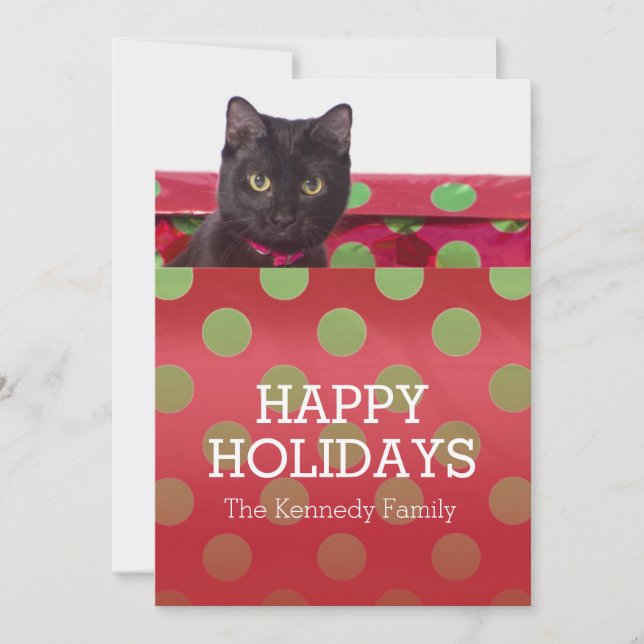 Kattunge i presentfält julkort (Framsida)