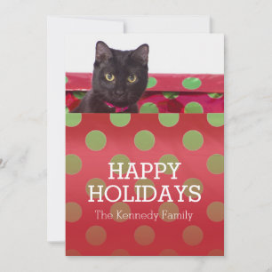 Kattunge i presentfält julkort