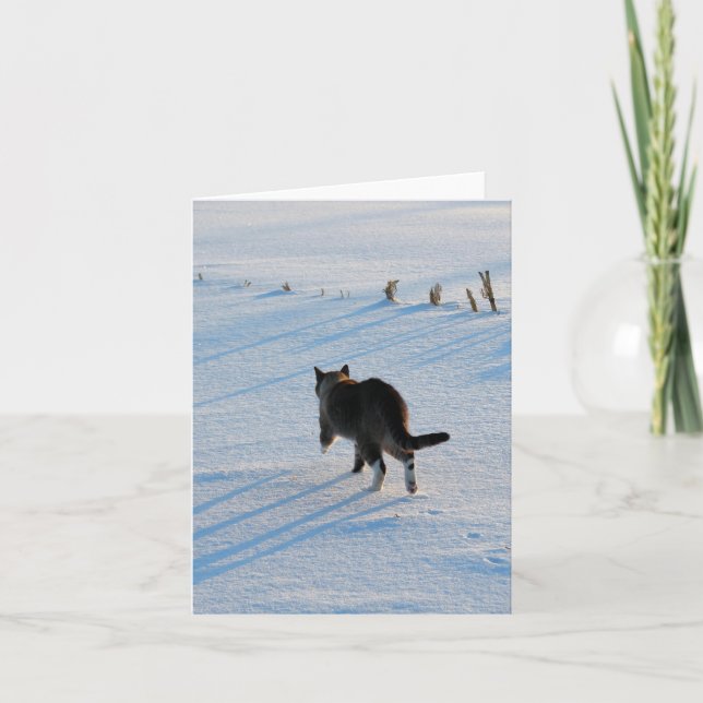 Kattunge i Snowy Maj Fält alla oceanerna Kort (Framsida)