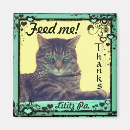 Kattunge inspirations Magnet-fliken mata mig! Liti Magnet