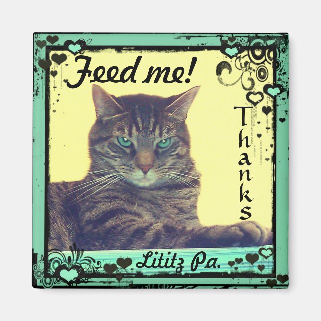 Kattunge inspirations Magnet-fliken mata mig! Liti Magnet (Framsidan)