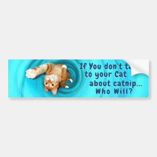 Kattunge-inspirationskällans stötfångare bildekal