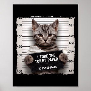 Kattunge Jail Photo I förstörde Toilet Pappert Dål Poster