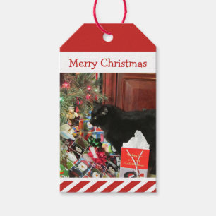 Kattunge Julklapp Gift Märkre Presentetikett