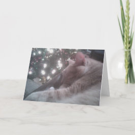 Kattunge julkort helgkort