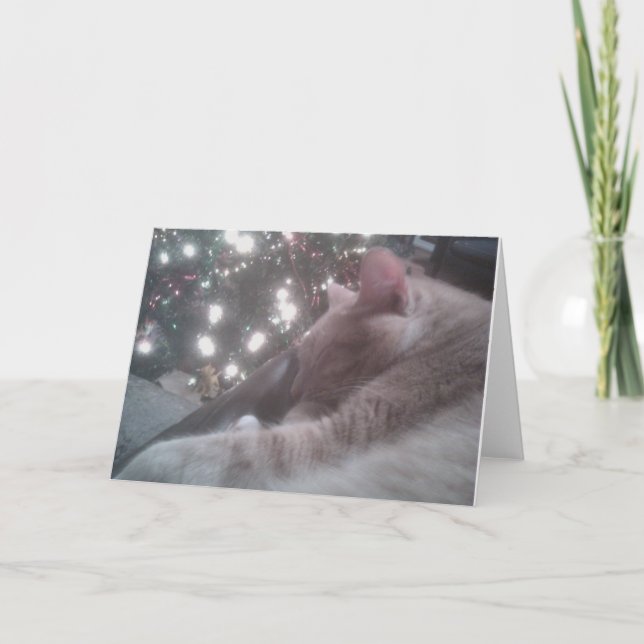 Kattunge julkort helgkort (Framsida)