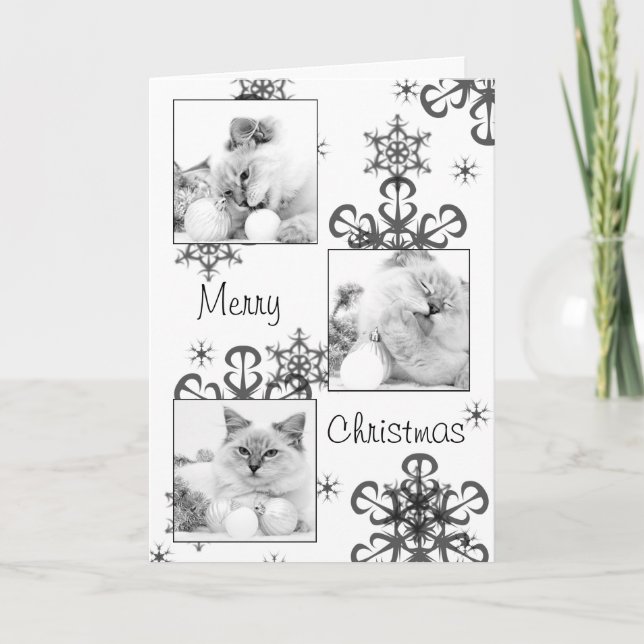 kattunge-julkort helgkort (Framsida)