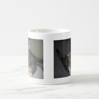 Kattunge Kaffemugg