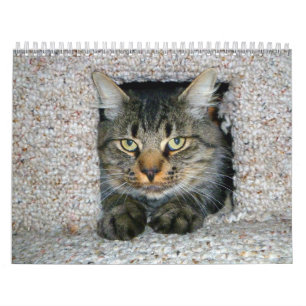 Kattunge Kalender